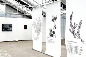 Eva Gröttum und J&K