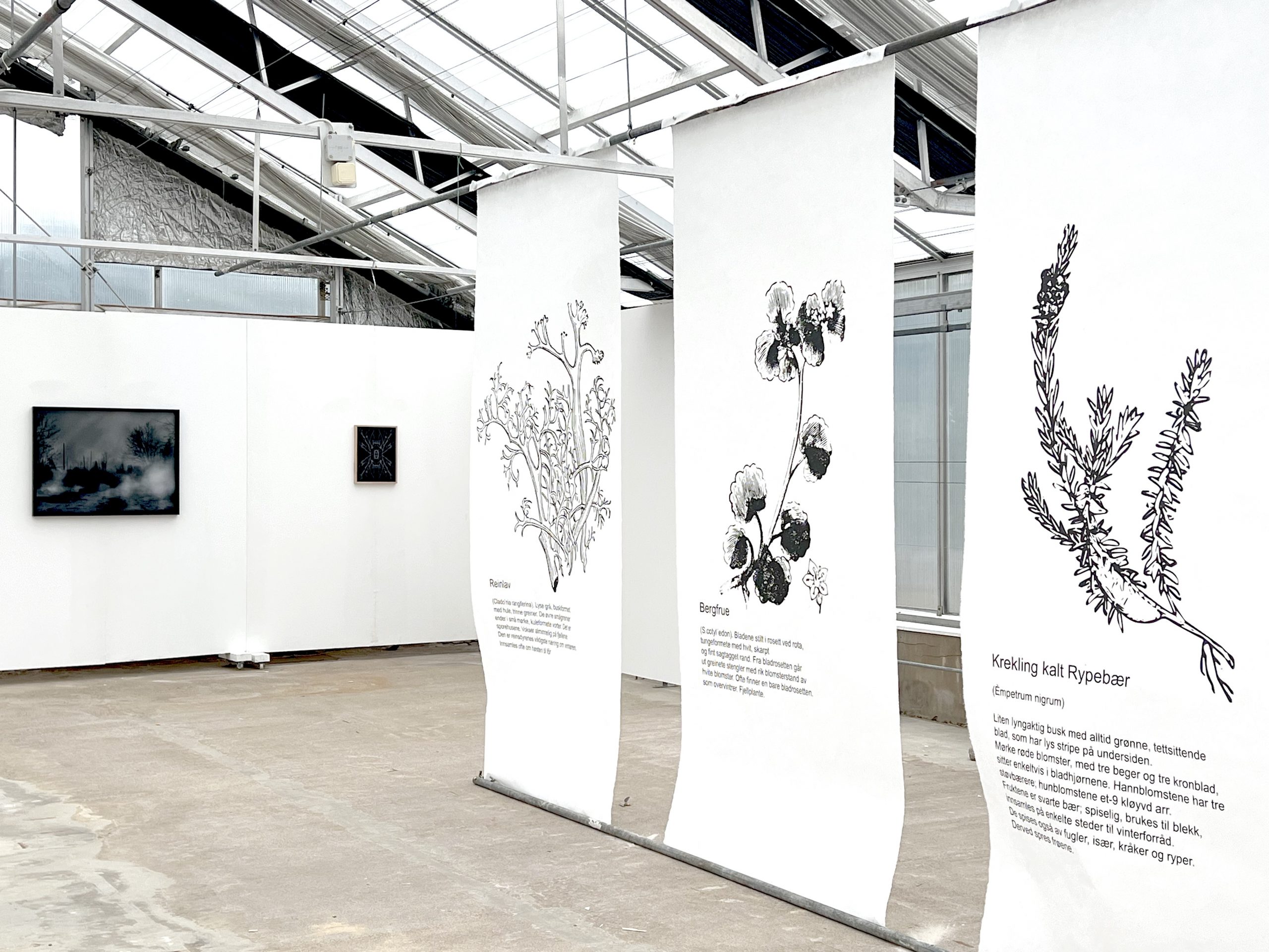 Eva Gröttum und J&K Eva Gröttum und J&K